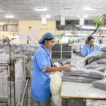 Doenças Ocupacionais do Trabalho Quais São e Seus Direitos
